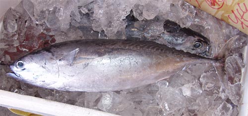 ひらそうだ、すま