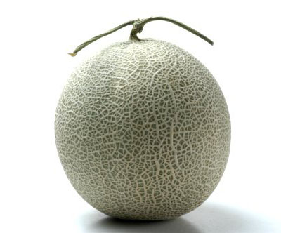 メロン
