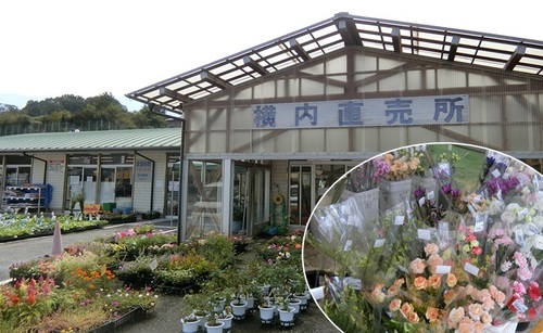 直販所「JA高知市　横内店」