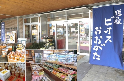 直販所「道の駅ビオスおおがた　ひなたや」