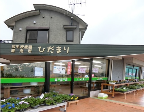 就労支援事業所ひだまり