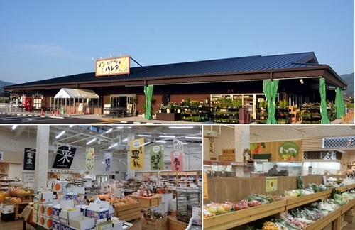 E-20 地のもん市場ハレタ.JPG