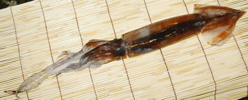 34.jpg