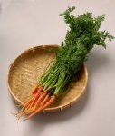 人参