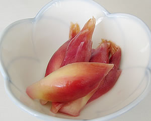 ryo128.jpg