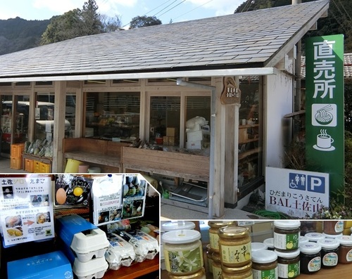 D-18 BALとさやま2.JPG