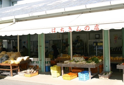 直販所「JAはちきんの店佐川店」