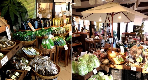 D-5 津野町 満天の星.JPG