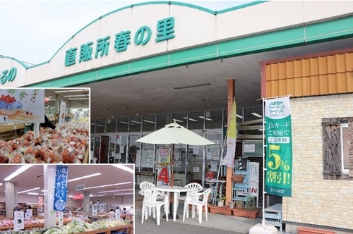 直販所「春の里」