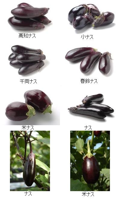 なす.JPG