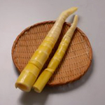 淡竹