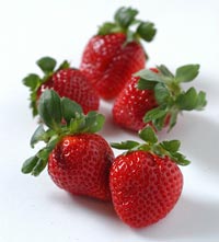 イチゴ