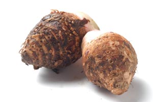 里芋（赤芽芋）