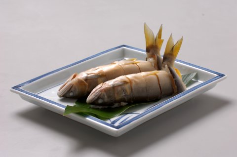 鮎ずし