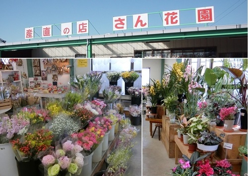 B-10さん花園.jpg